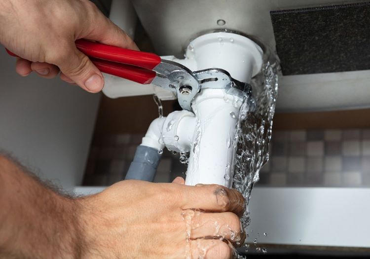 plumber auckland city