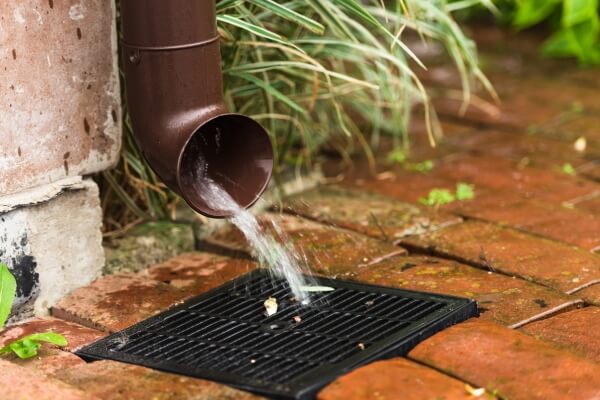cheap plumber auckland